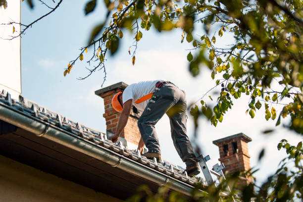 Roof Gutter Cleaning in Bellevue, KY