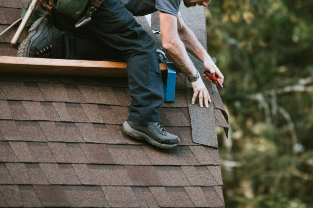 Best Roof Maintenance Services  in Bellevue, KY